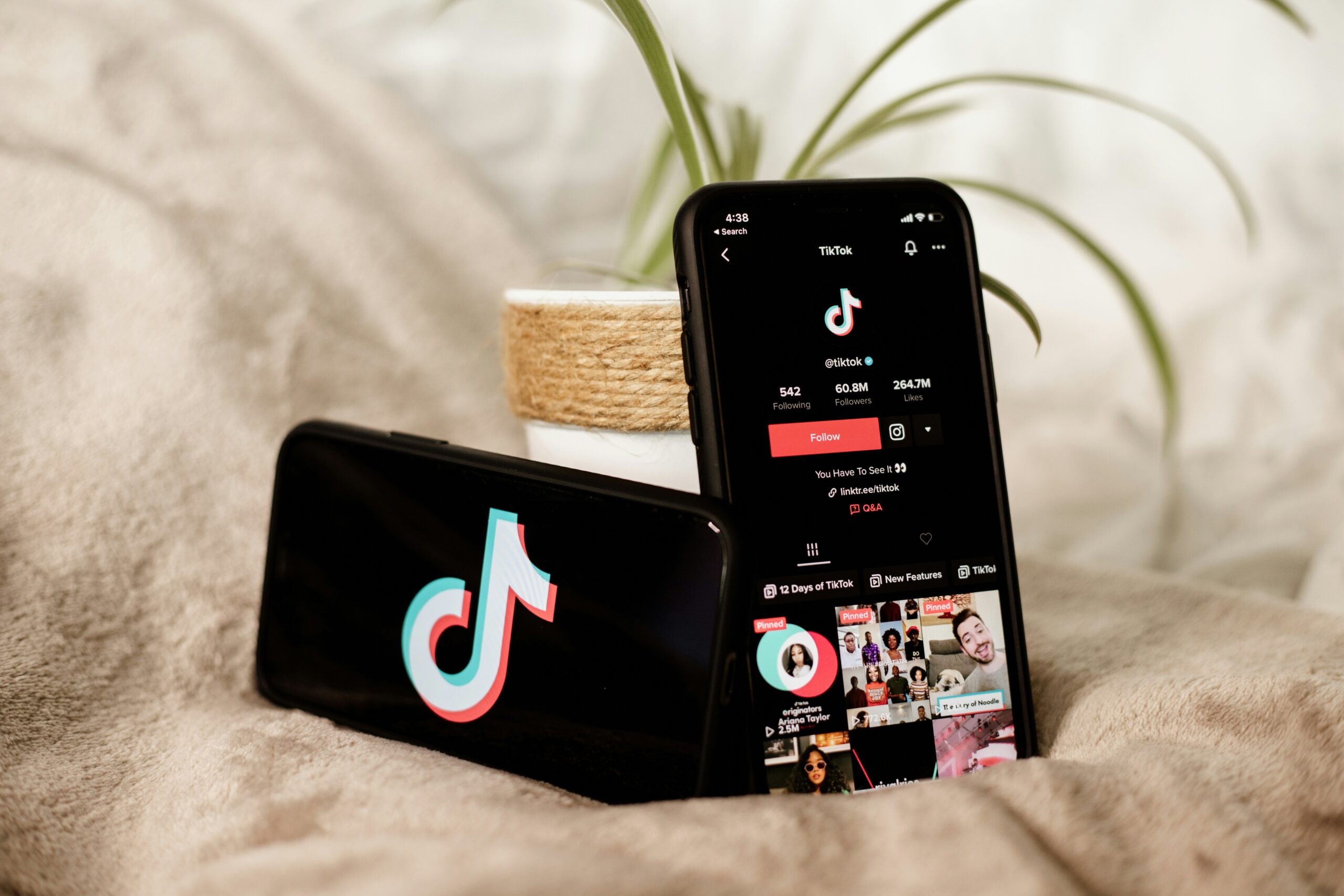 Hacking TikTok’s Creative Programs to Maximize Your Performance